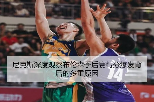 ni-ke-si-shen-du-guan-cha-bu-lun-sen-ji-hou-sai-de-fen-bao-fa-bei-hou-de-duo-zhong-yuan-yin-3-243.jpg